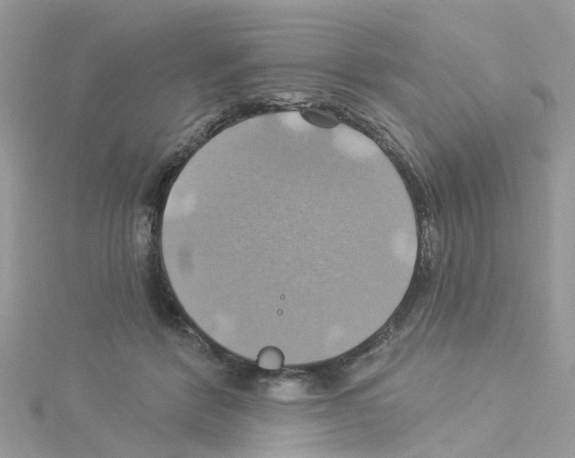 X0000114100412200911161102