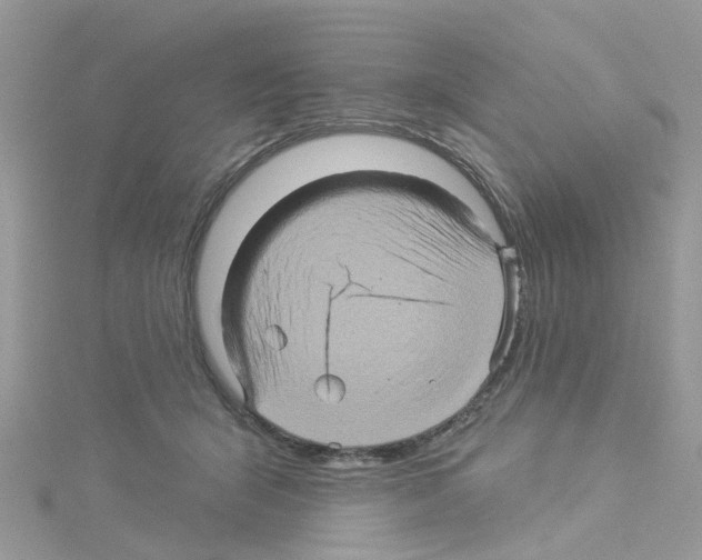 X0000114100415200911161102