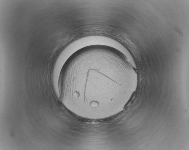 X0000114100419200911161102