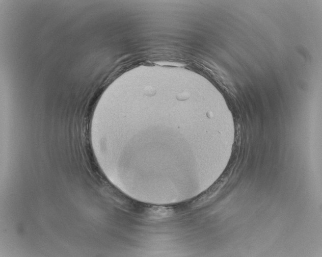 X0000114100421200911161102