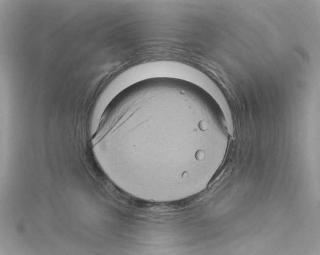 X0000114100423200911161102