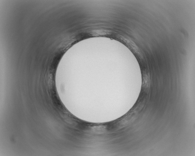 X0000114100426200911161102