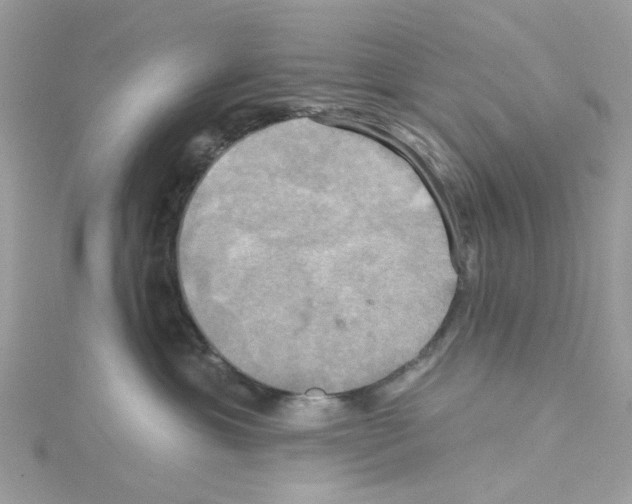 X0000114100429200911161102