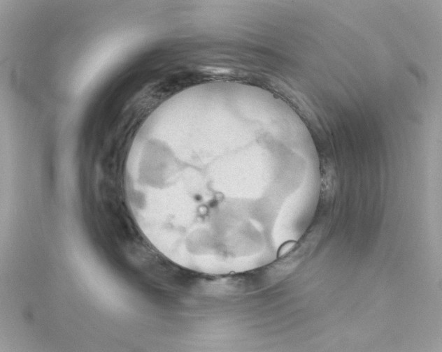 X0000114100430200911161102