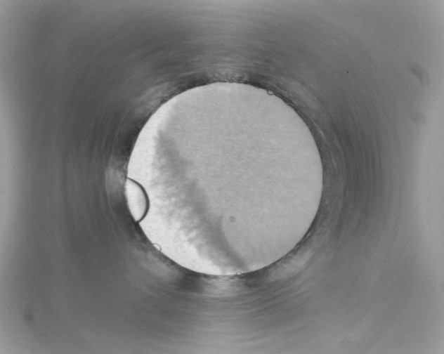 X0000114100432200911161102