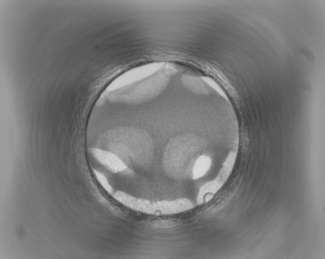 X0000114100433200911161101