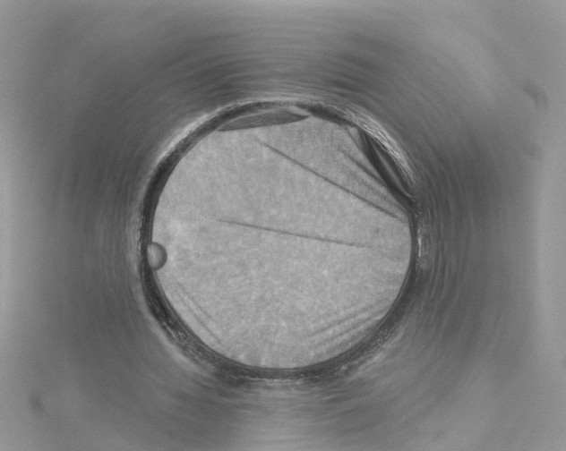 X0000114100436200911161101