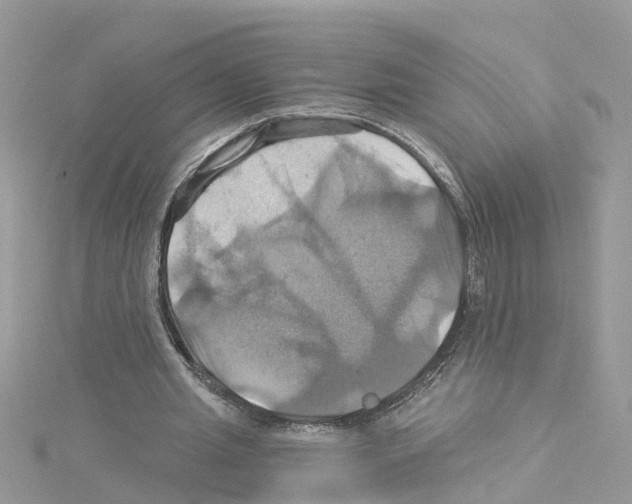 X0000114100437200911161101