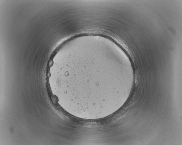 X0000114100438200911161101