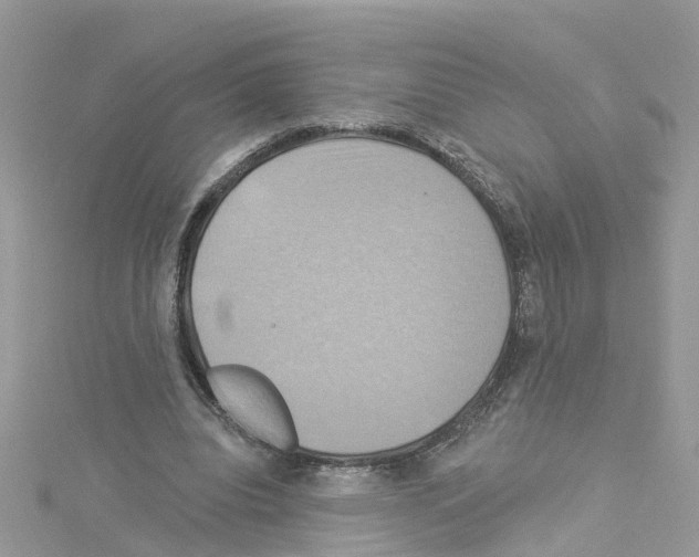 X0000114100440200911161101