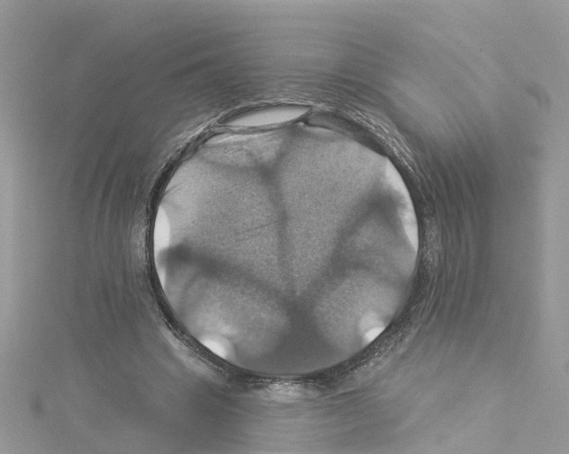 X0000114100441200911161101