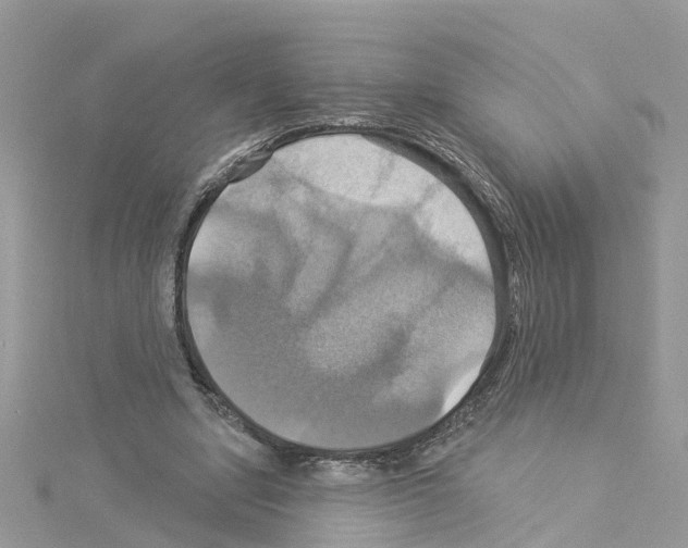 X0000114100442200911161101