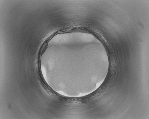 X0000114100443200911161101