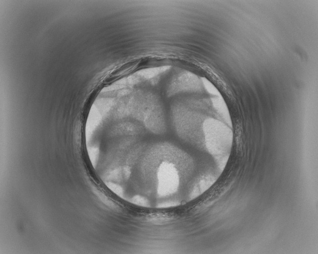 X0000114100445200911161101