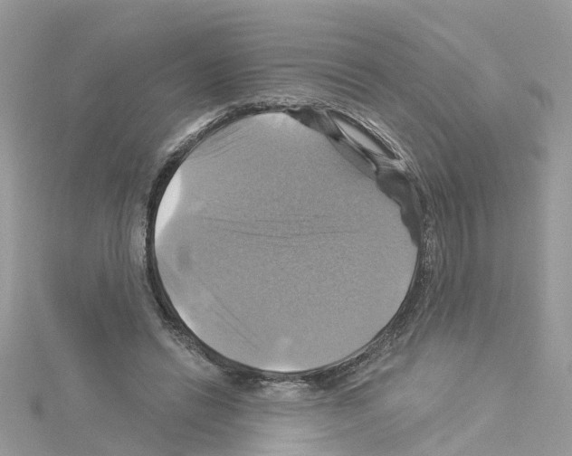 X0000114100446200911161101