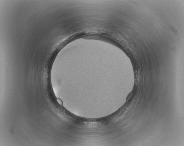 X0000114100448200911161101