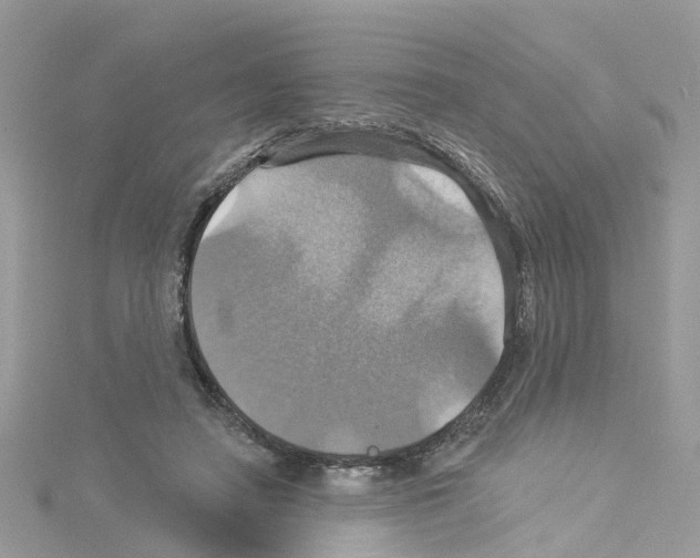 X0000114100450200911161101