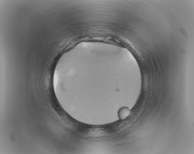 X0000114100451200911161101