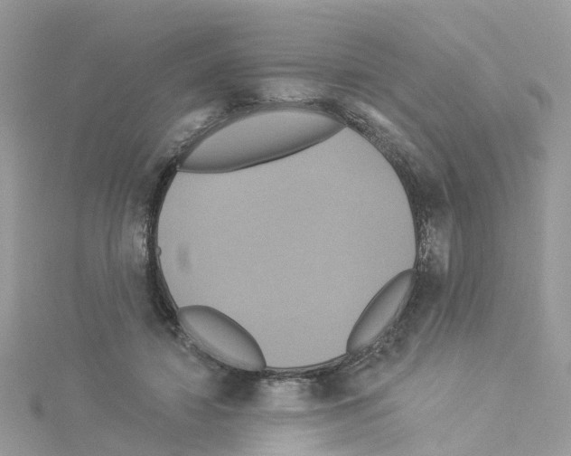 X0000114100452200911161101