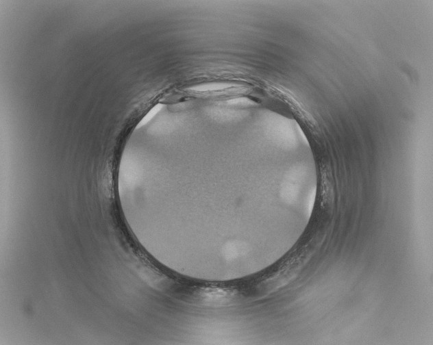 X0000114100453200911161101