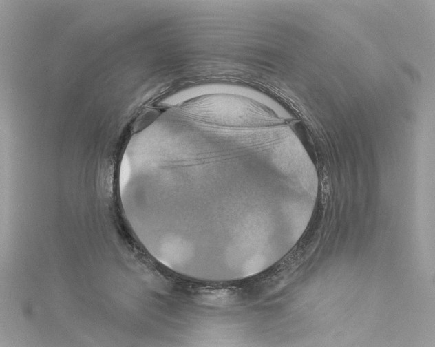 X0000114100454200911161101