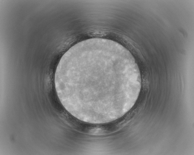 X0000114100460200911161101