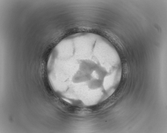 X0000114100463200911161101