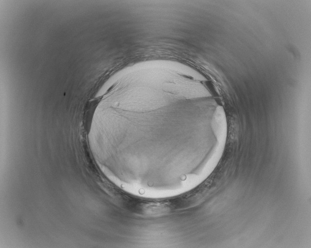 X0000114100465200911161101