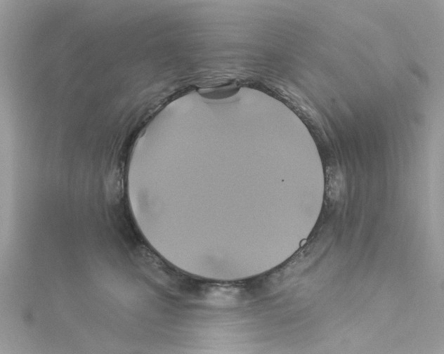 X0000114100471200911161101