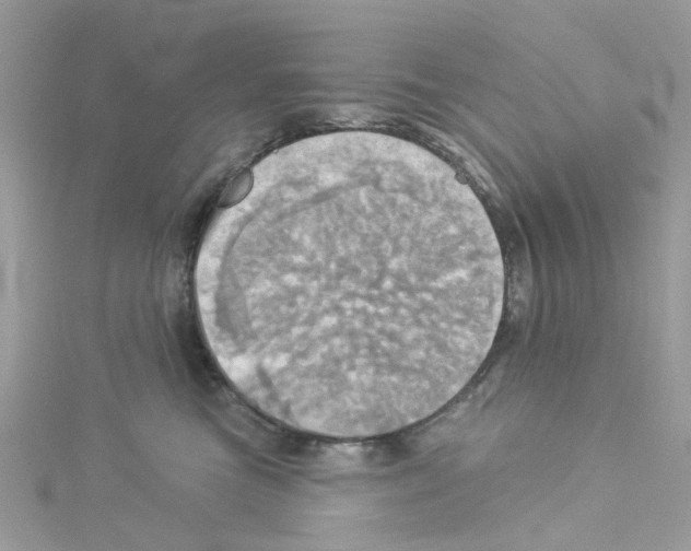 X0000114100473200911161101