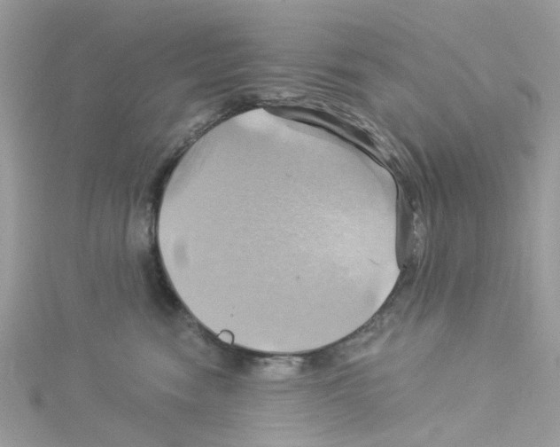 X0000114100474200911161101