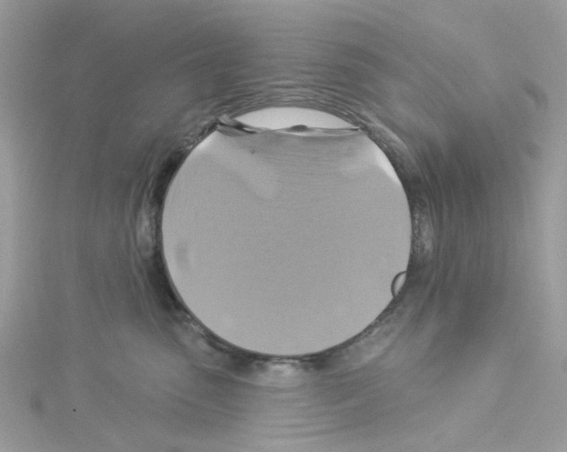 X0000114100475200911161101