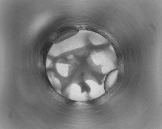 X0000114100477200911161102