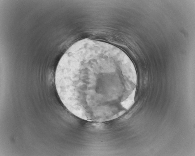 X0000114100478200911161102