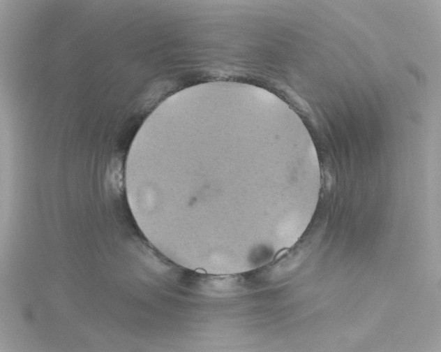 X0000114100479200911161102