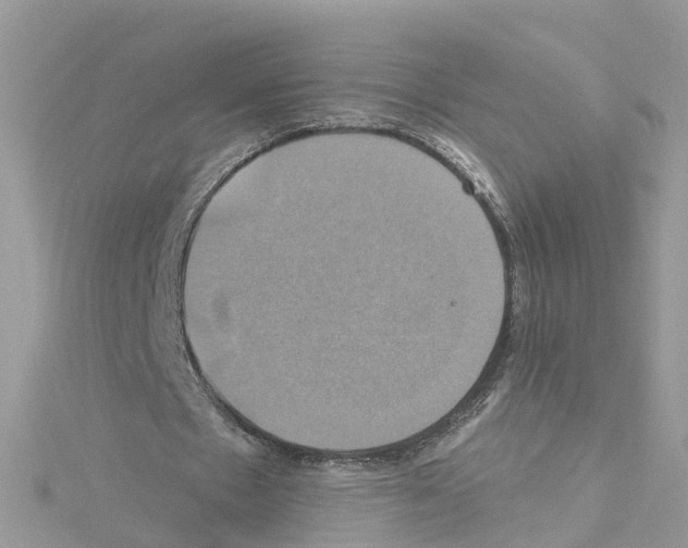 X0000114100481200911161101