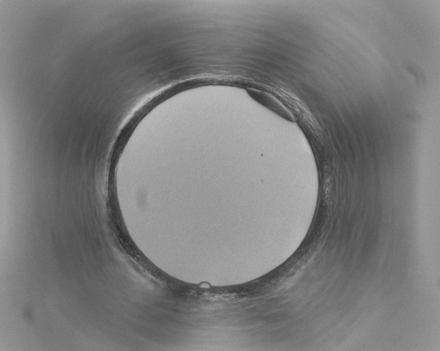 X0000114100484200911161101