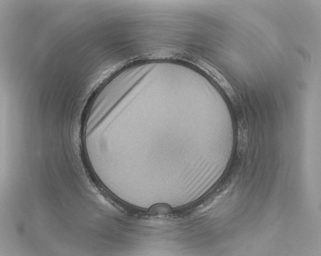 X0000114100485200911161101