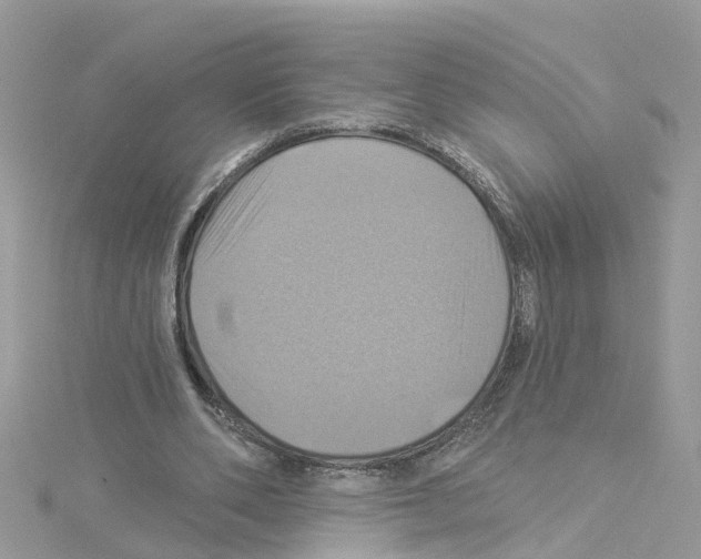 X0000114100486200911161101