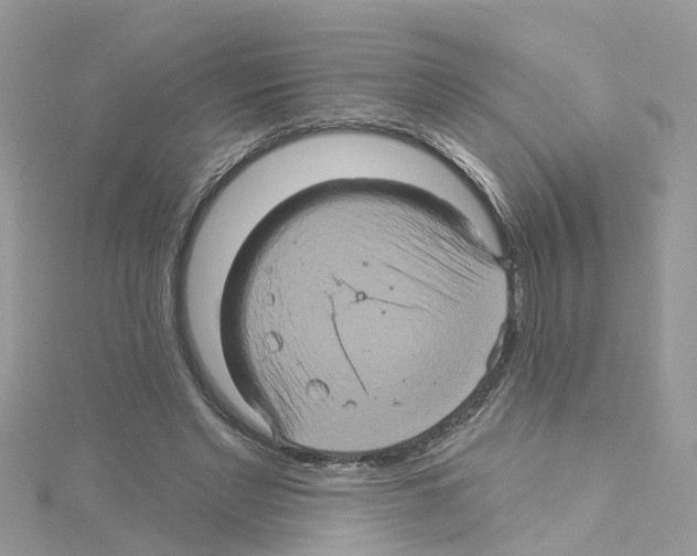 X0000114100493200911161101