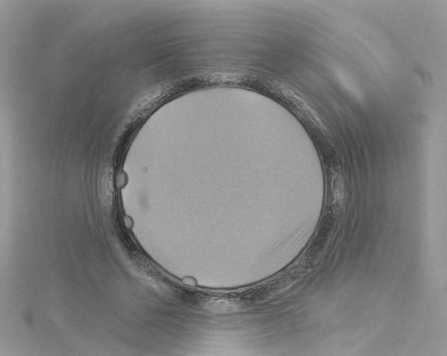 X0000114100494200911161101