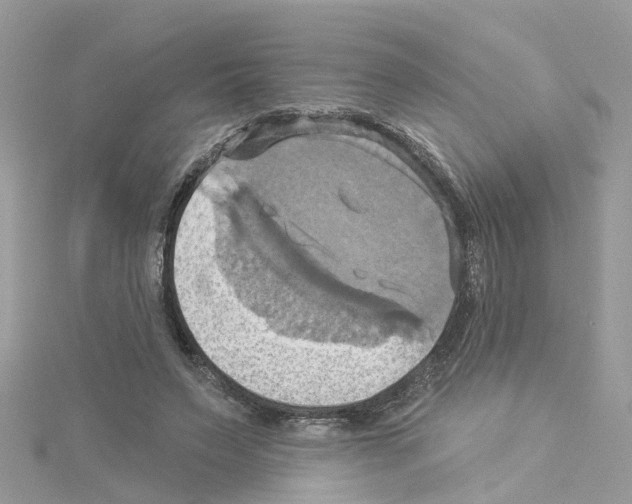 X0000114100495200911161101