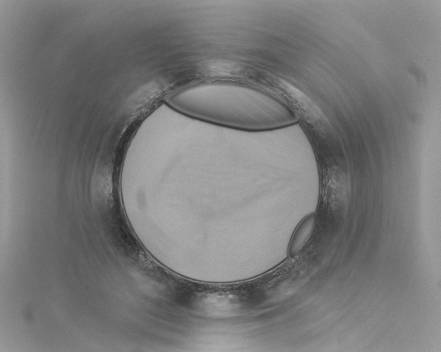 X0000114100500200911161101