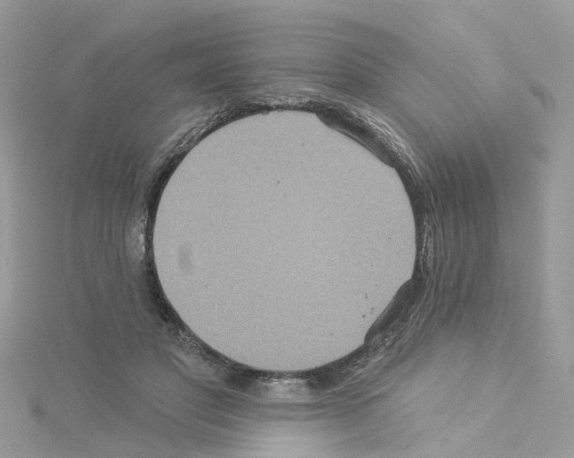 X0000114100501200911161101