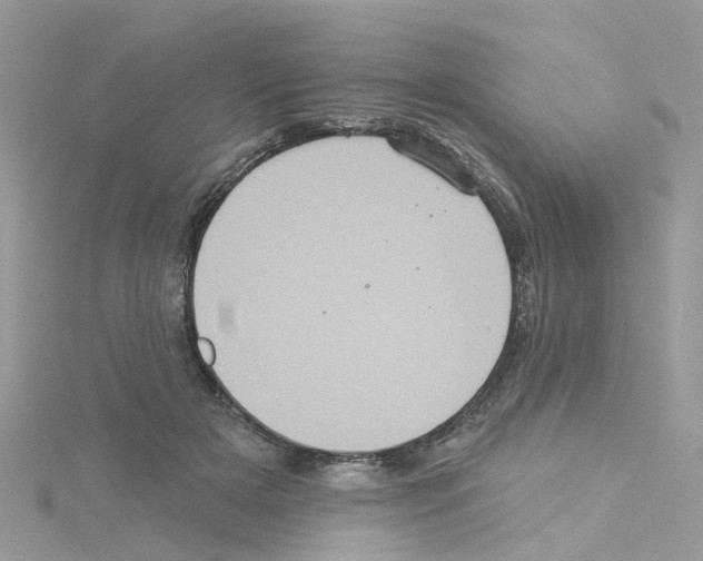 X0000114100505200911161101