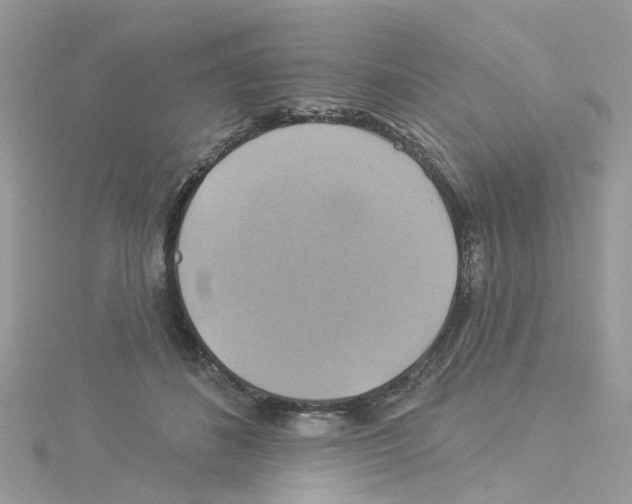 X0000114100508200911161101