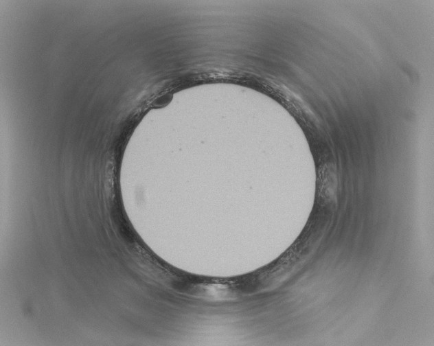 X0000114100509200911161101