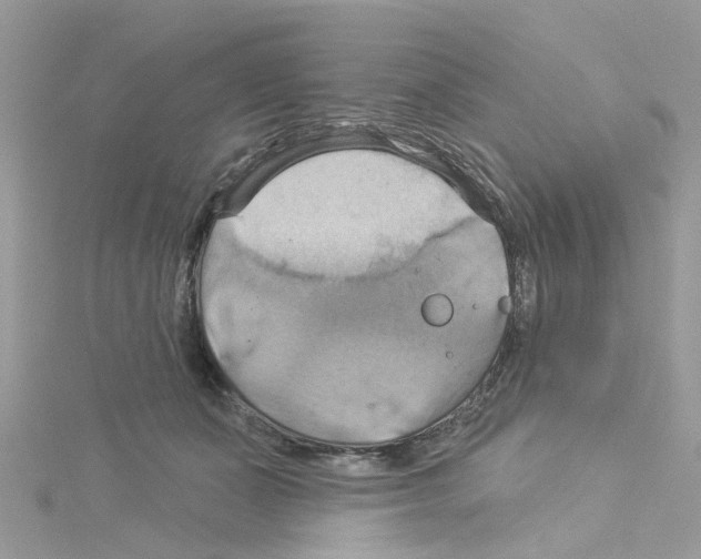 X0000114100511200911161101