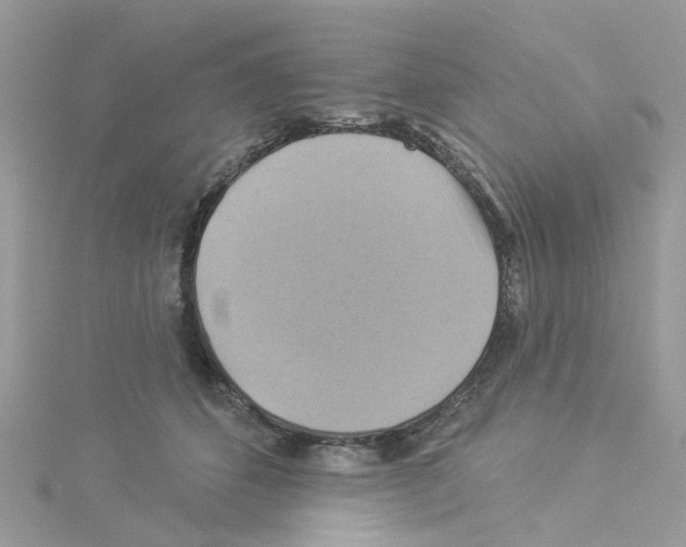 X0000114100512200911161101