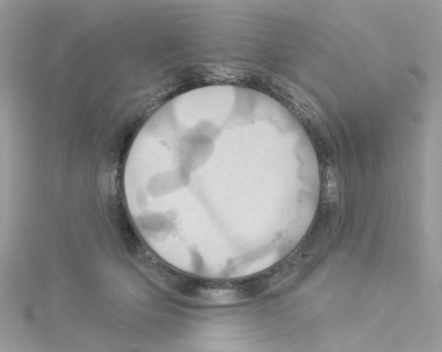 X0000114100514200911161101